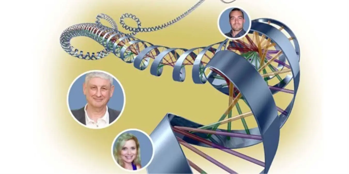 Avrupalılar, Genetik Olarak Aynı Aileye Mensup