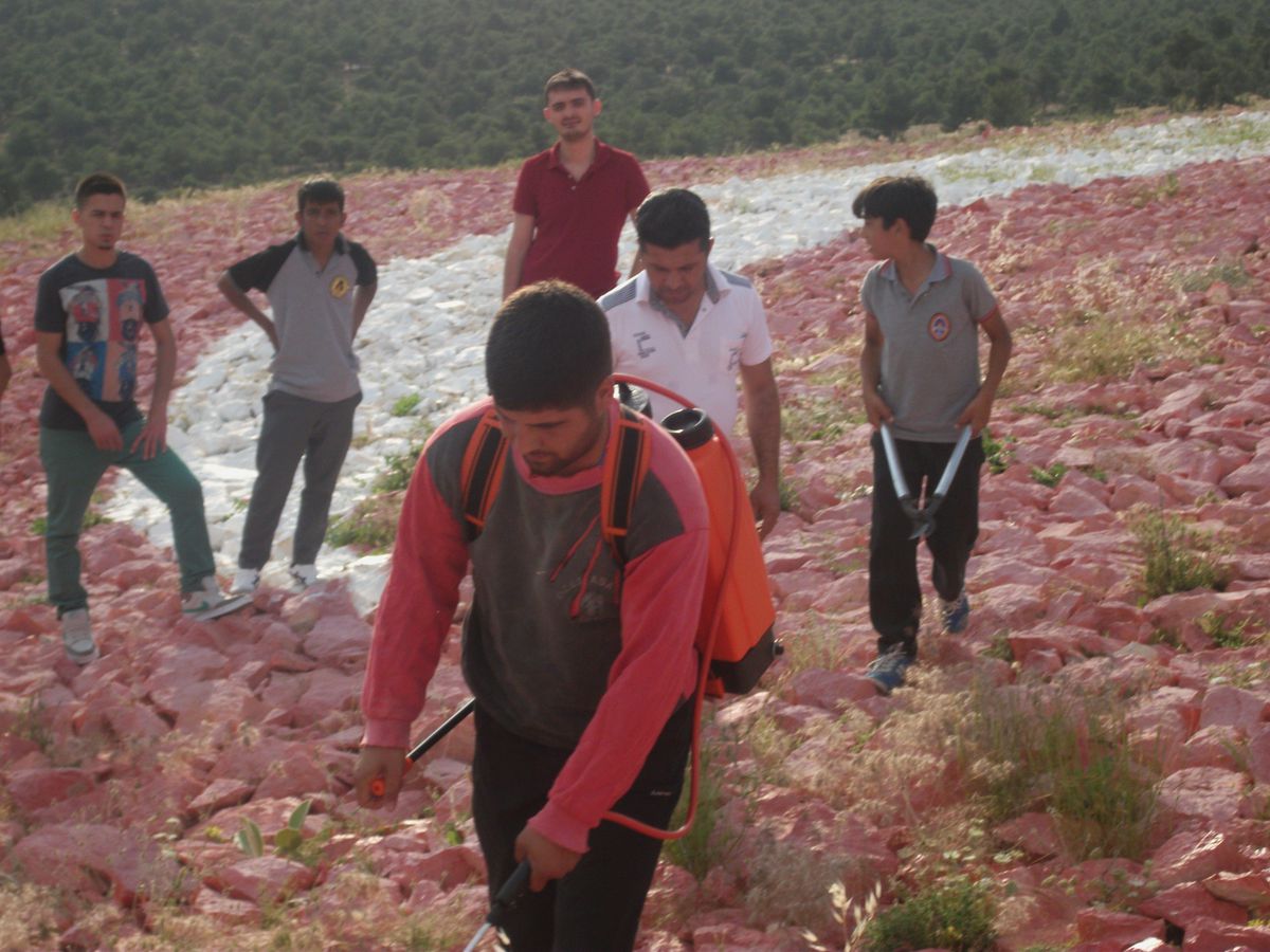 Dev Türk Bayrağı Yabani Otlardan Temizlendi