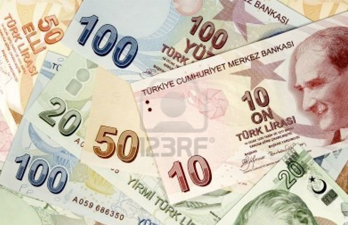 Hazine Nakit Gerçekleşmeleri