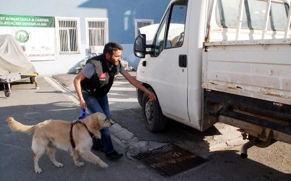 Gizli Bölmeden 165 Kilogram Esrar Çıktı