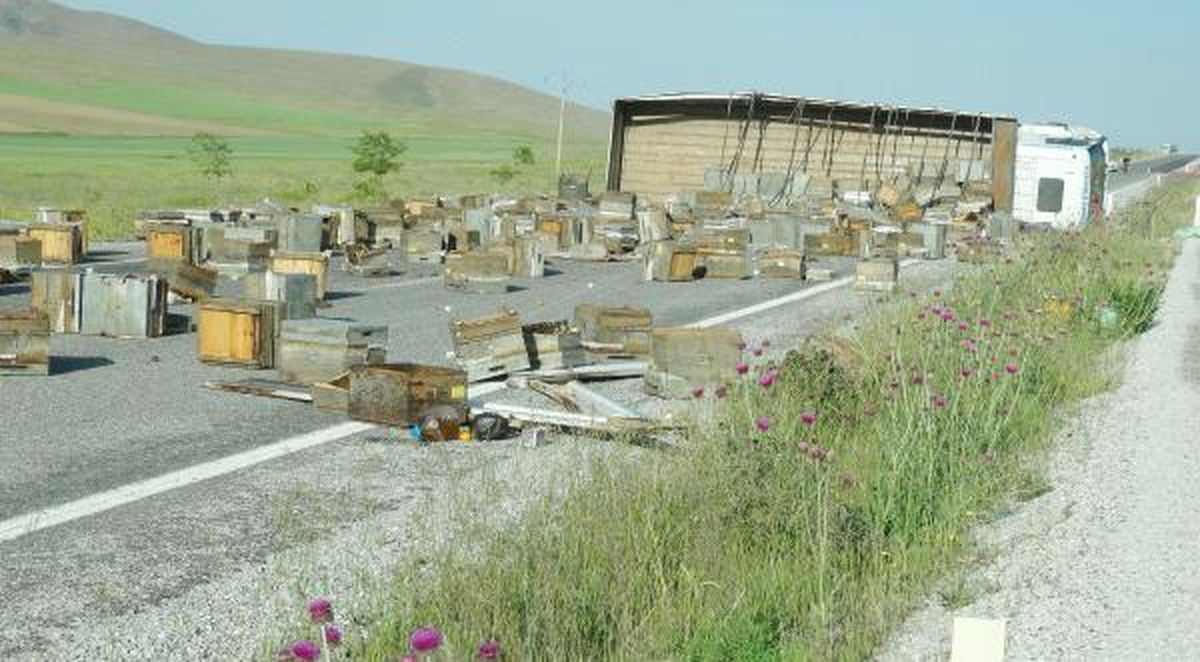 Konya-Aksaray Yolunda Arı İstilası