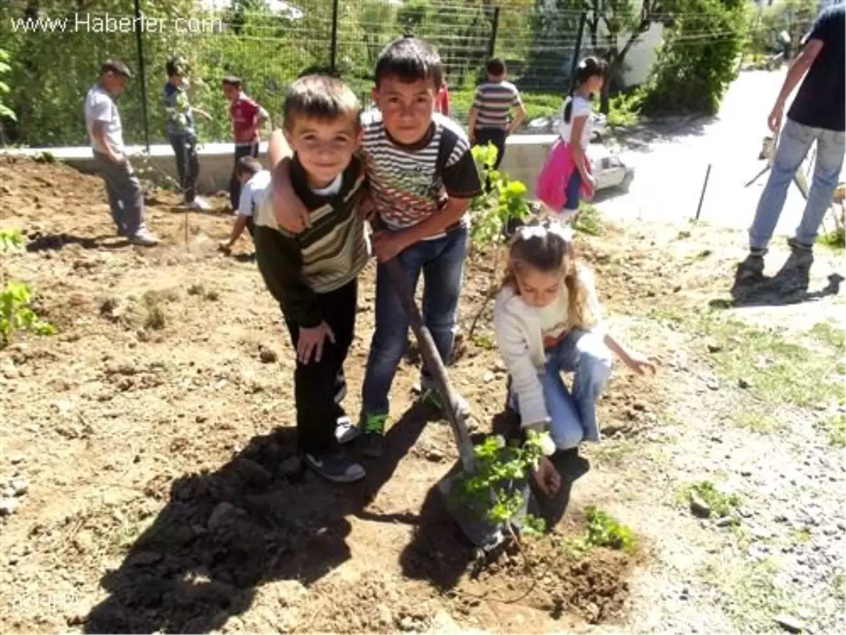 Küre\'de Minik Eller Fidanları Toprakla Buluşturdu