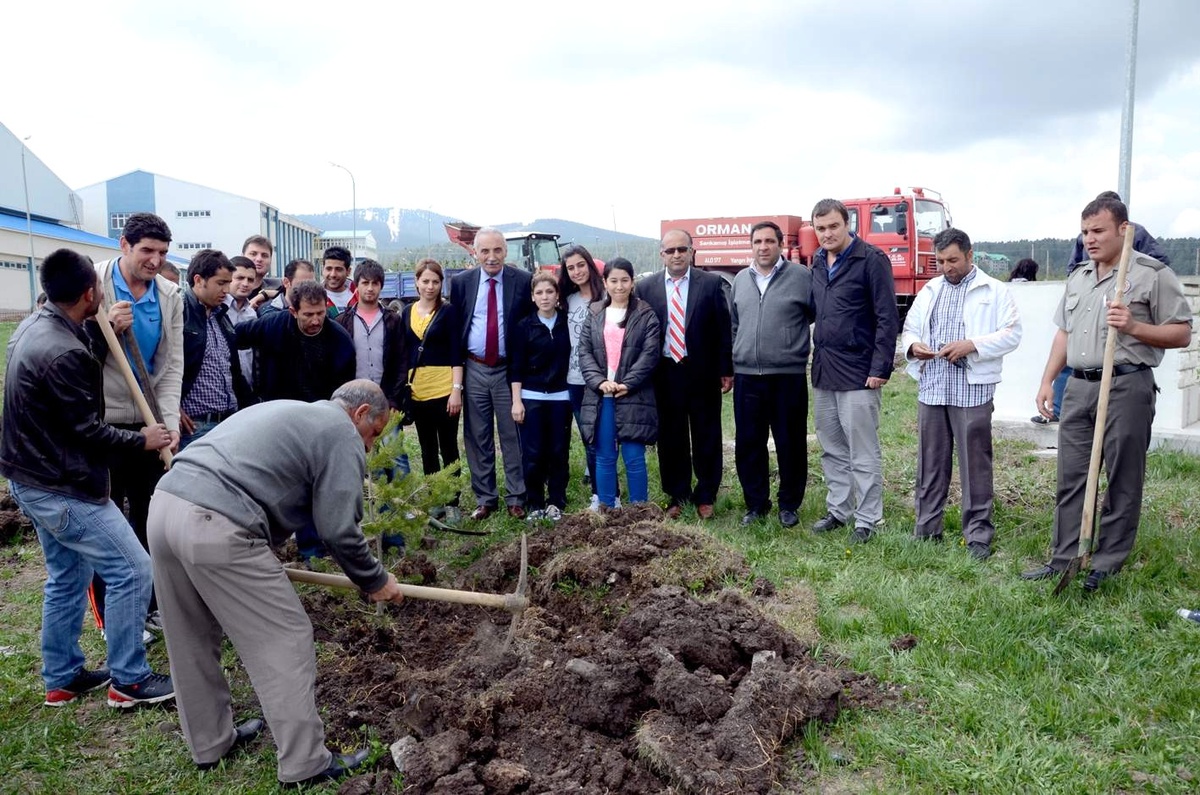 Sarıkamış Besyo Öğrencileri Fidan Dikti