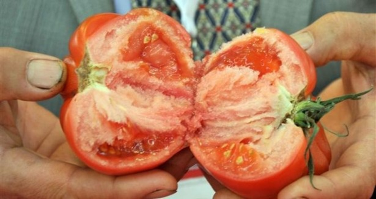 Soya ve Domates, Prostat Kanserini Önlemeye Yardımcı Olabilir