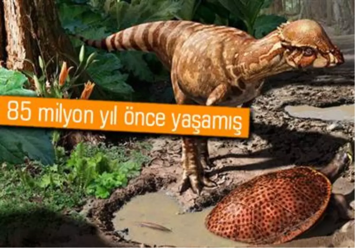 Yeni Bir Dinozor Türü Bulundu