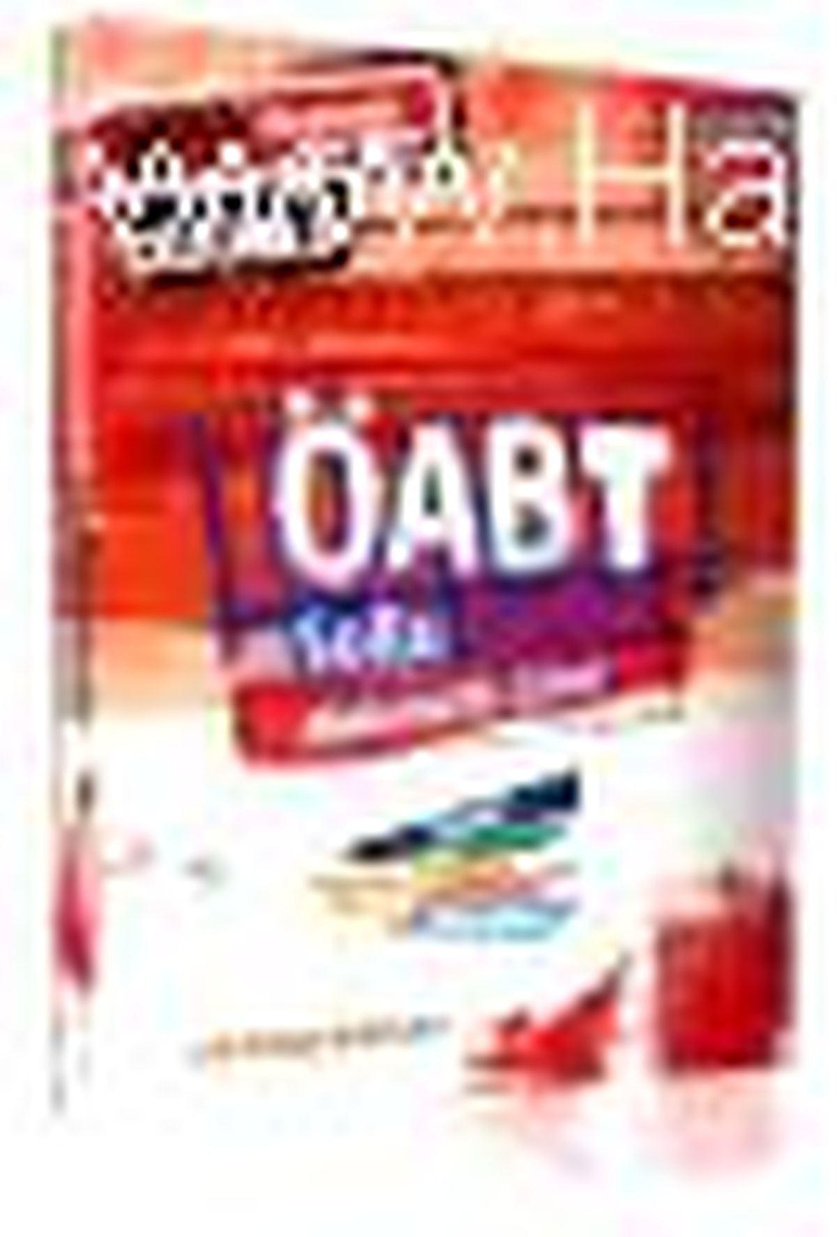 2013 Öabt Matematik (Lise) Soru Bankası Çözümlü Kitabı