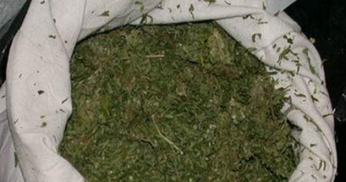 7 Kilo Esrarla Yakalandı, "İçiciyim" Dedi