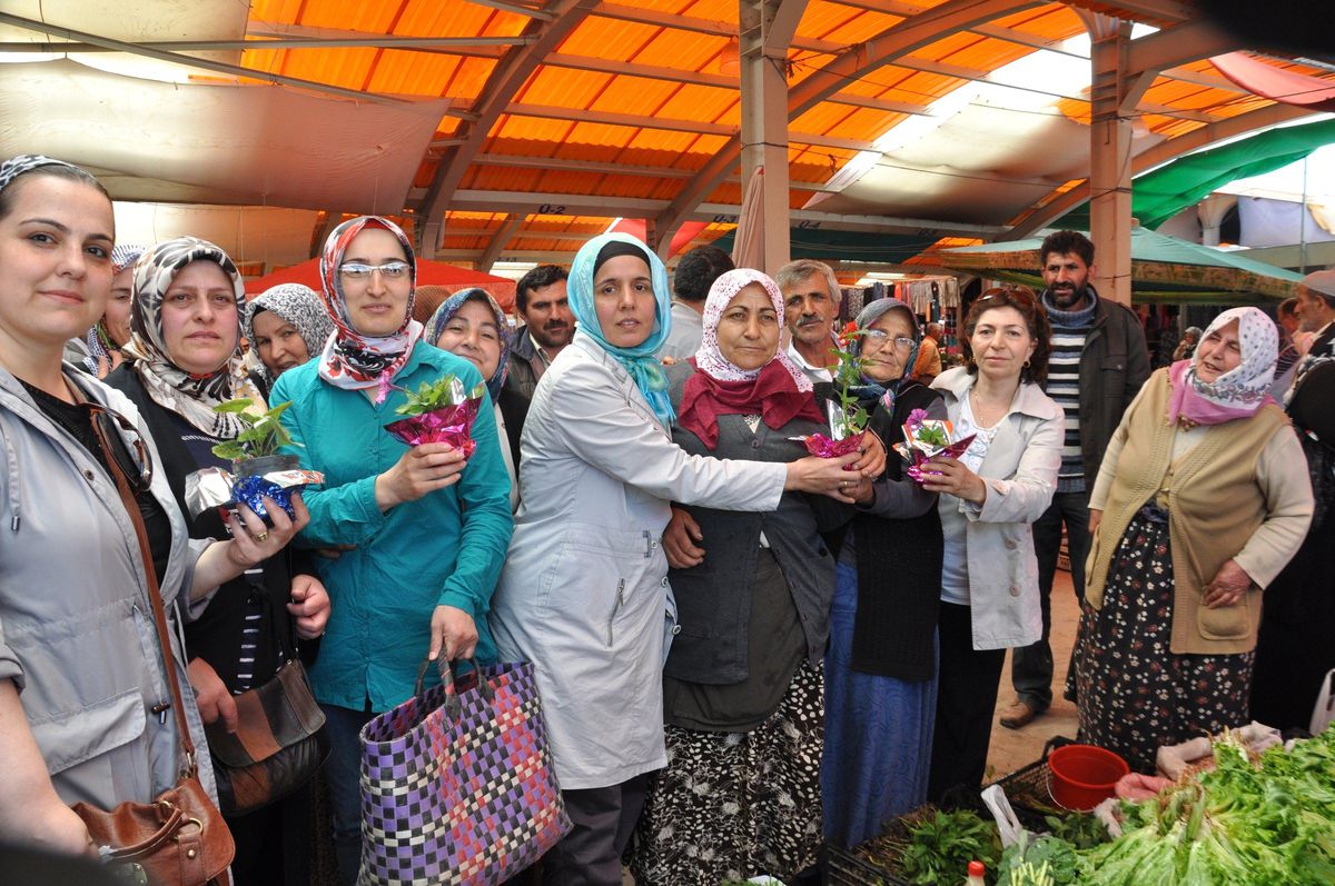 AK Parti\'li Kadınlar Gül Dağıttı