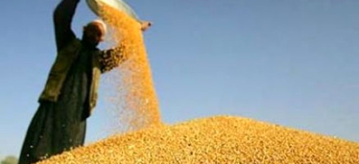 Aydın Ticaret Borsası\'nda Günlük Oluşan Fiyatlar