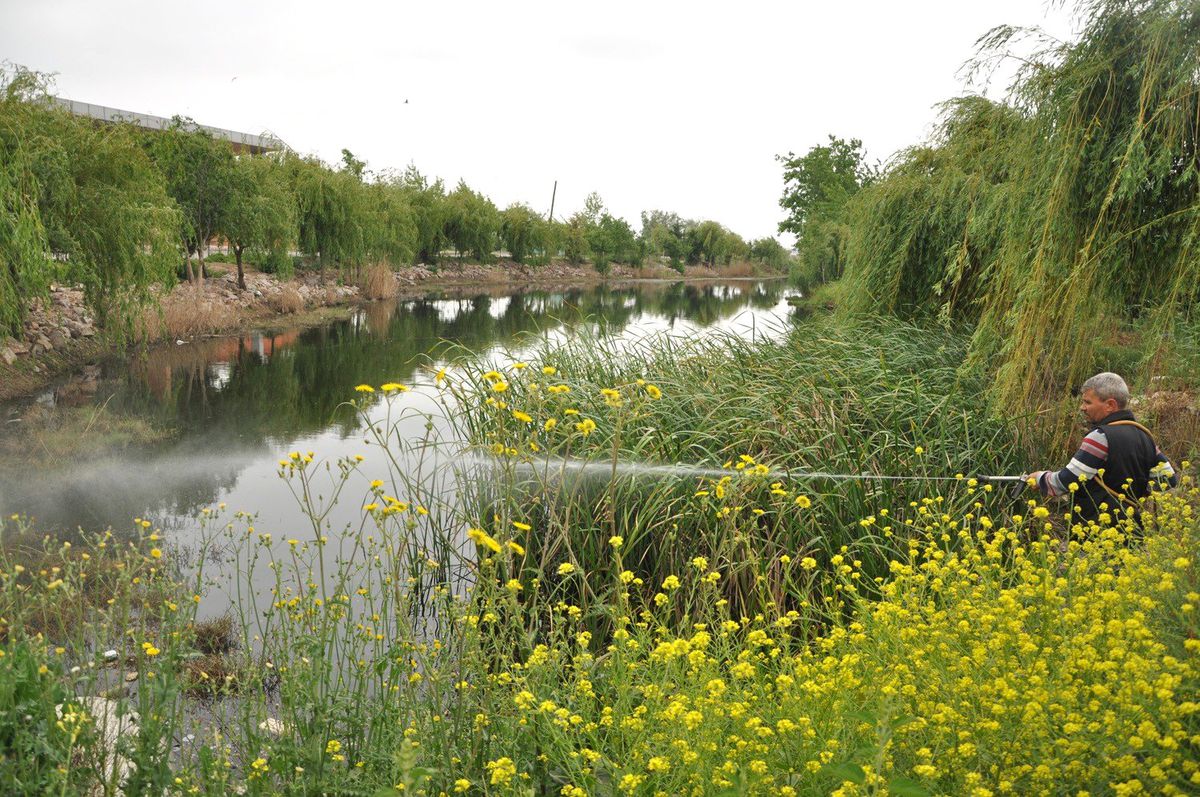 Azmaklara Bakım