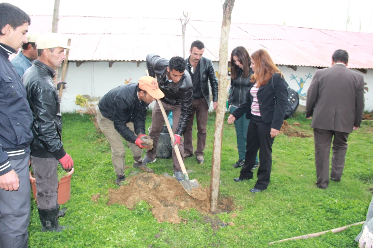 Başkale Belediyesi\'nden Fidan Dikimi