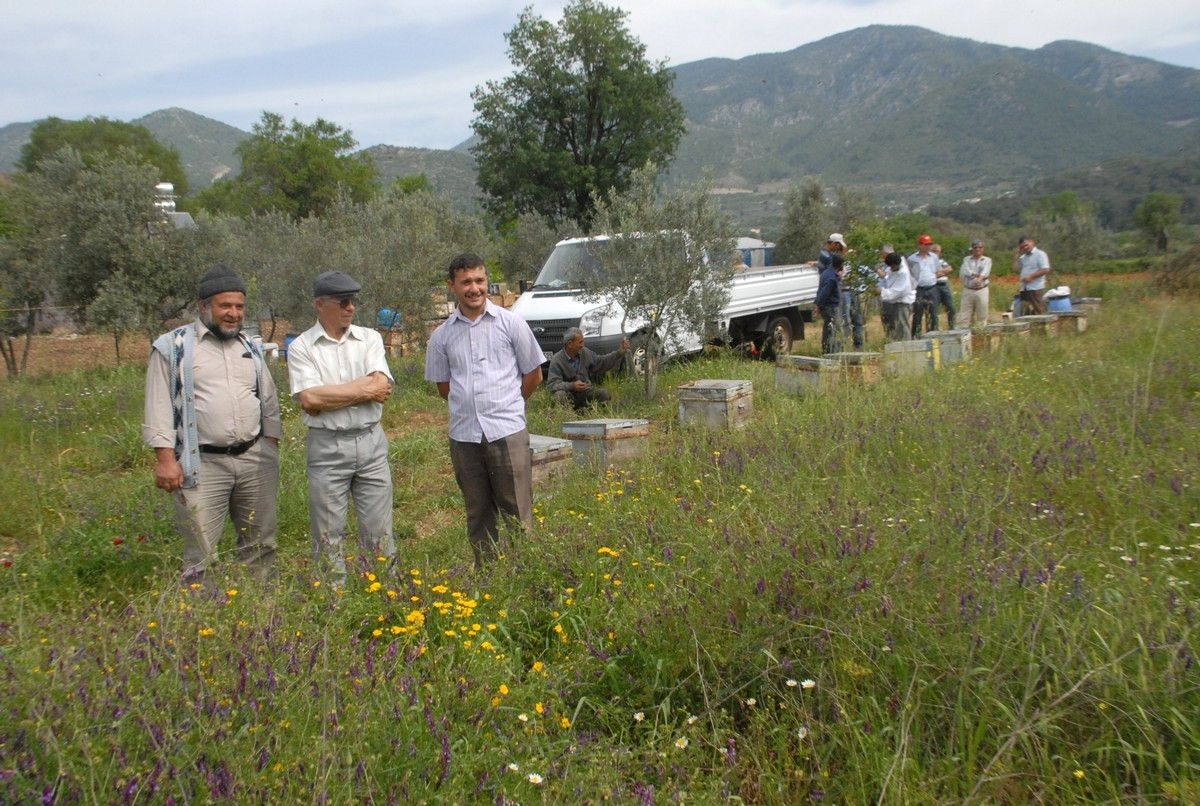 Fethiye ve Çevresinde Organik Arıcılık ve Bal Ormanları Projesi Başlatıldı