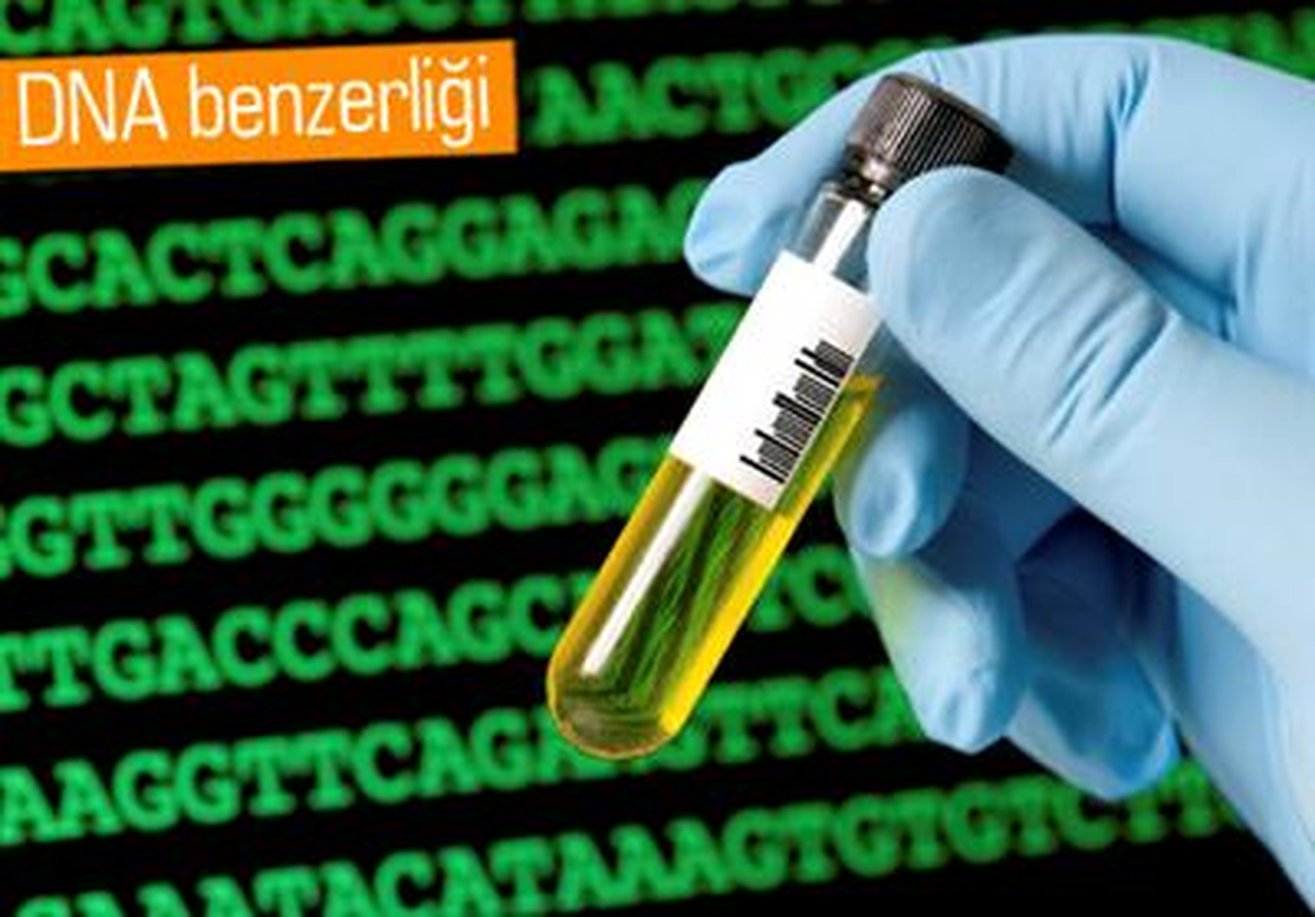 İngilizlerle Genetik Akraba Çıktık