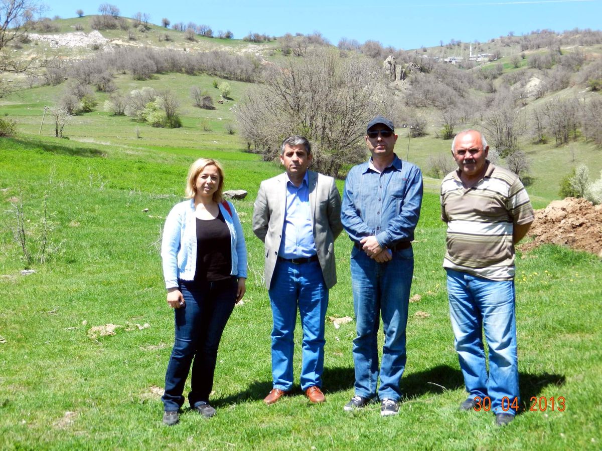 Köylerde Çekirge Mücadelesi Başladı