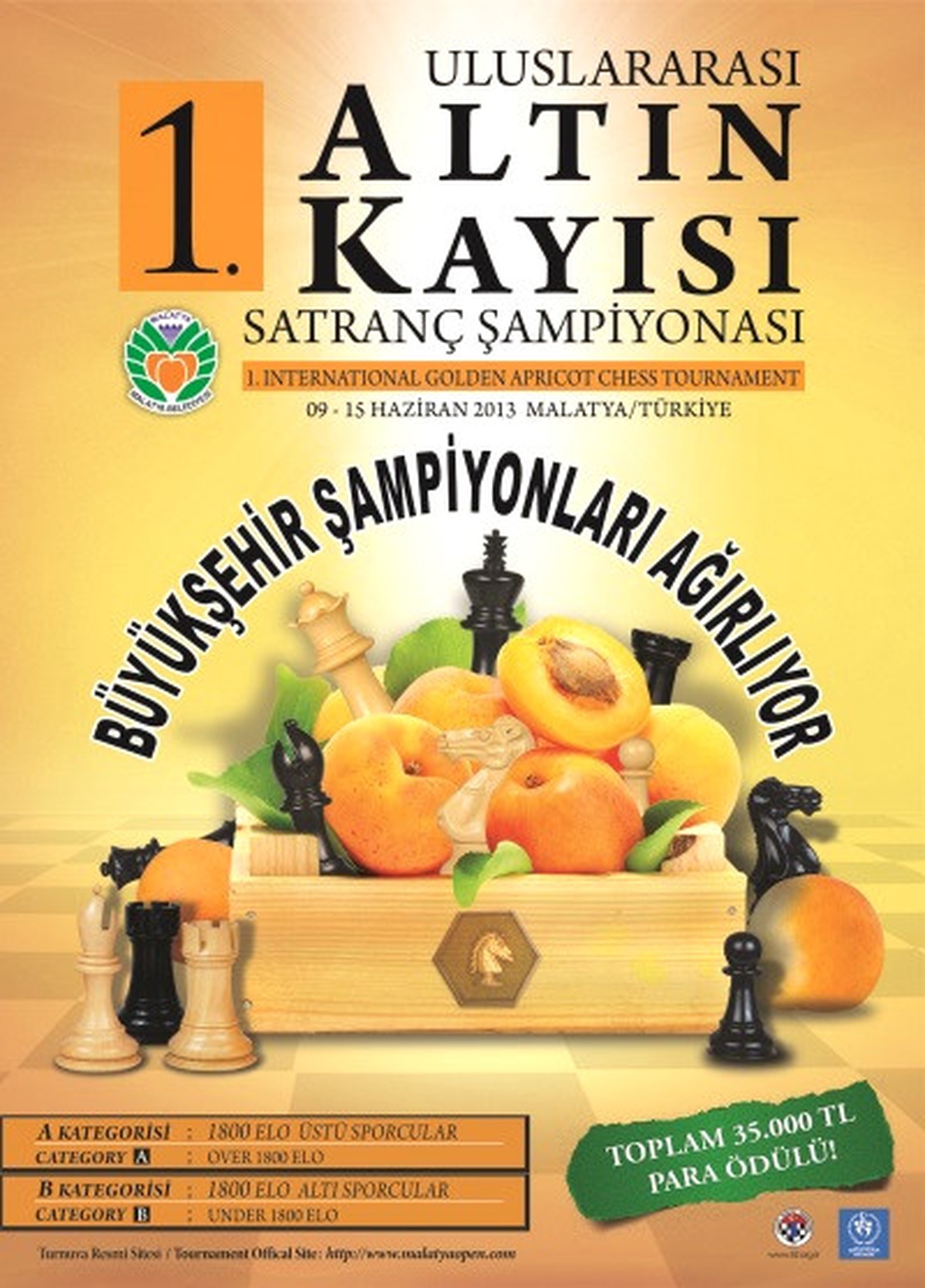 Malatya\'da Satranç Şampiyonasına Yoğun İlgi