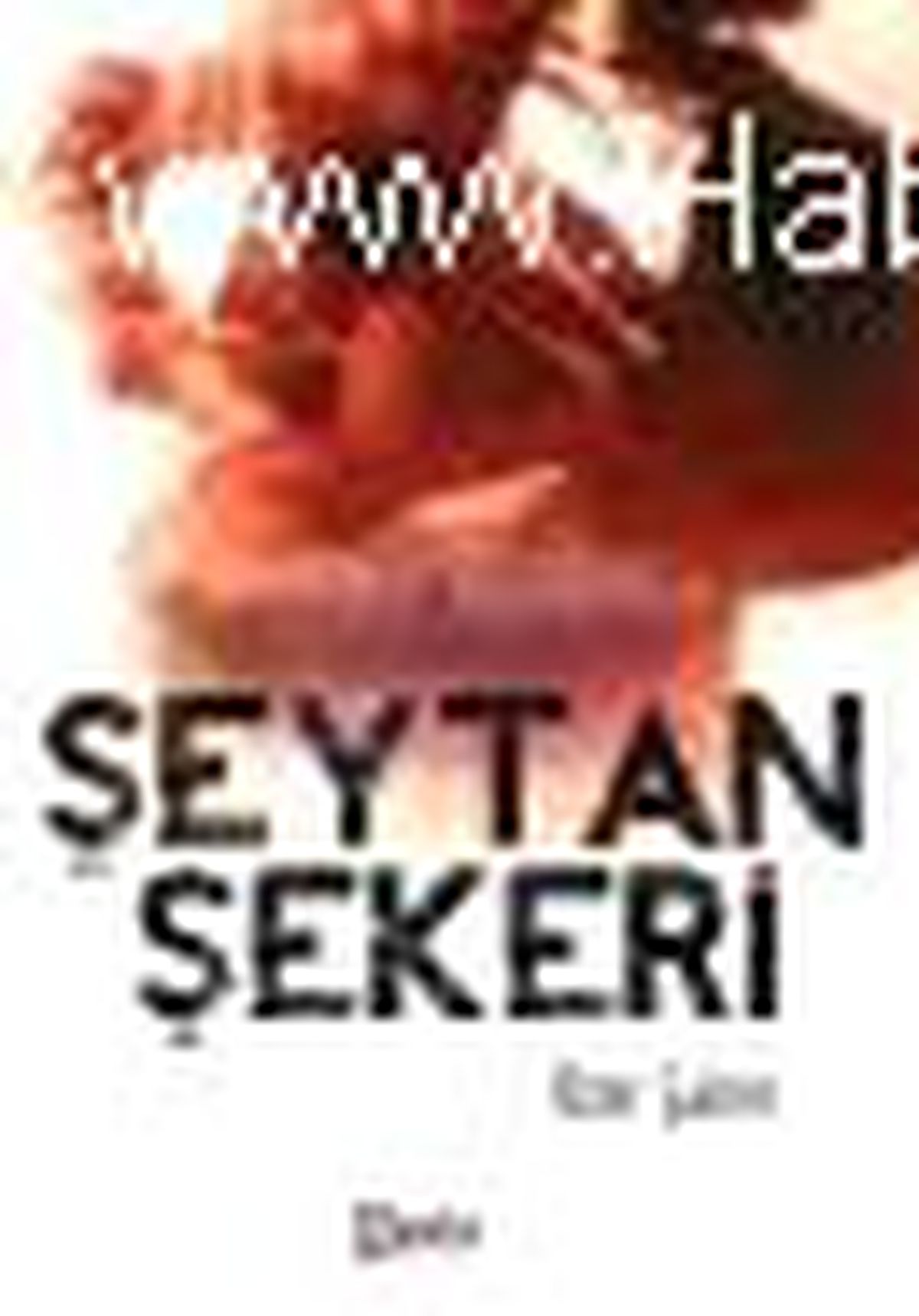 Şeytan Şekeri Kitabı