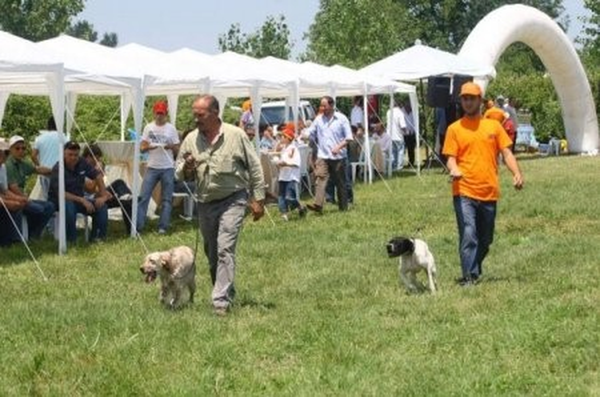 5. Fermalı Av Köpekleri Yarışması Başlıyor