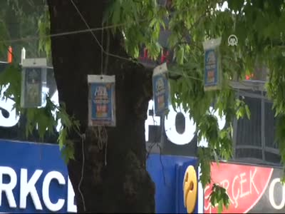 Ağaçlar, "Kitap Açtı"