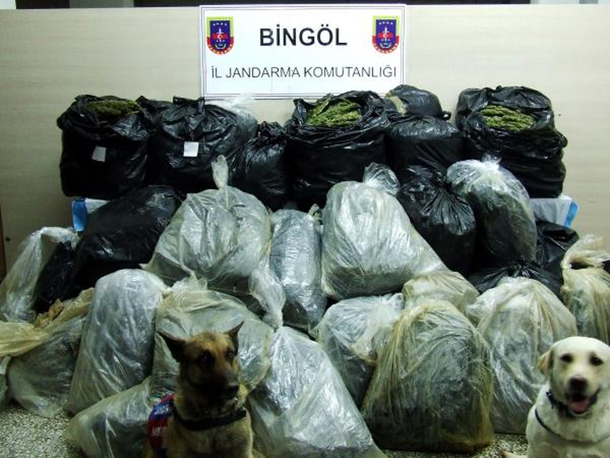 Bingöl\'de 377 Kilo Esrar Ele Geçirildi