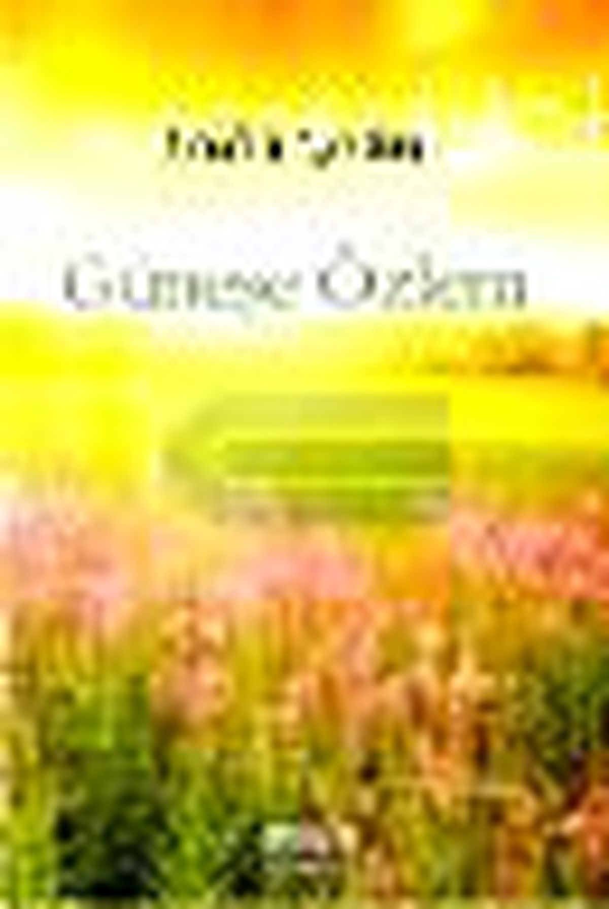 Güneşe Özlem Kitabı