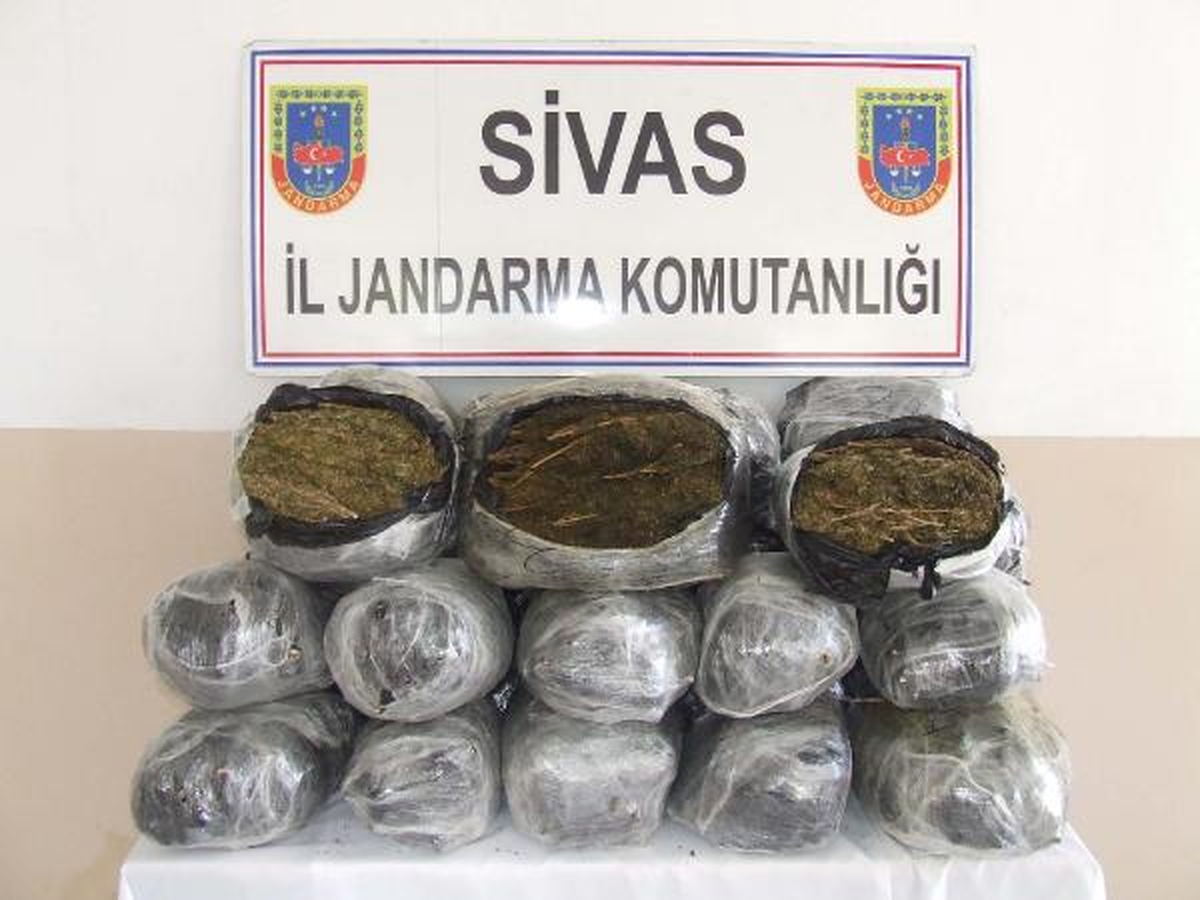 Gürün\'de 100 Kilo Esrar Ele Geçirildi