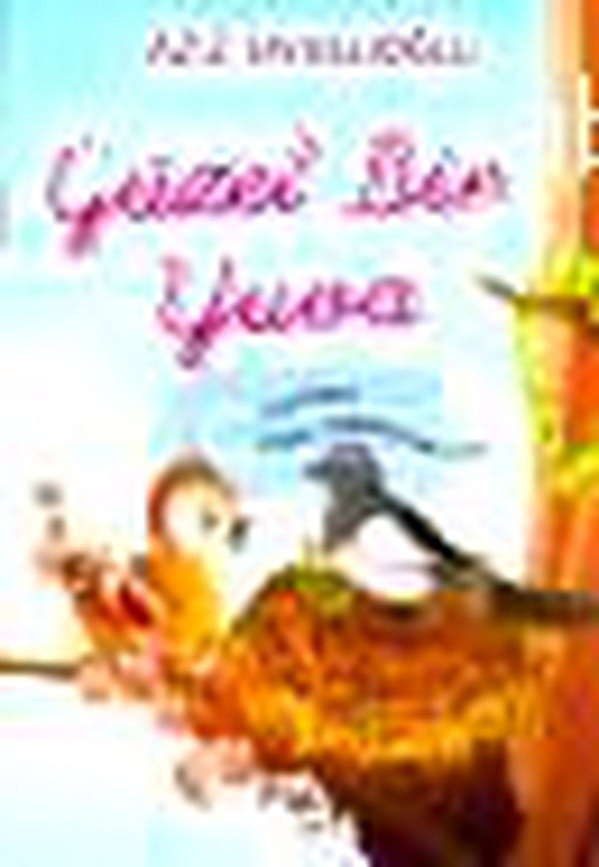Güzel Bir Yuva Kitabı