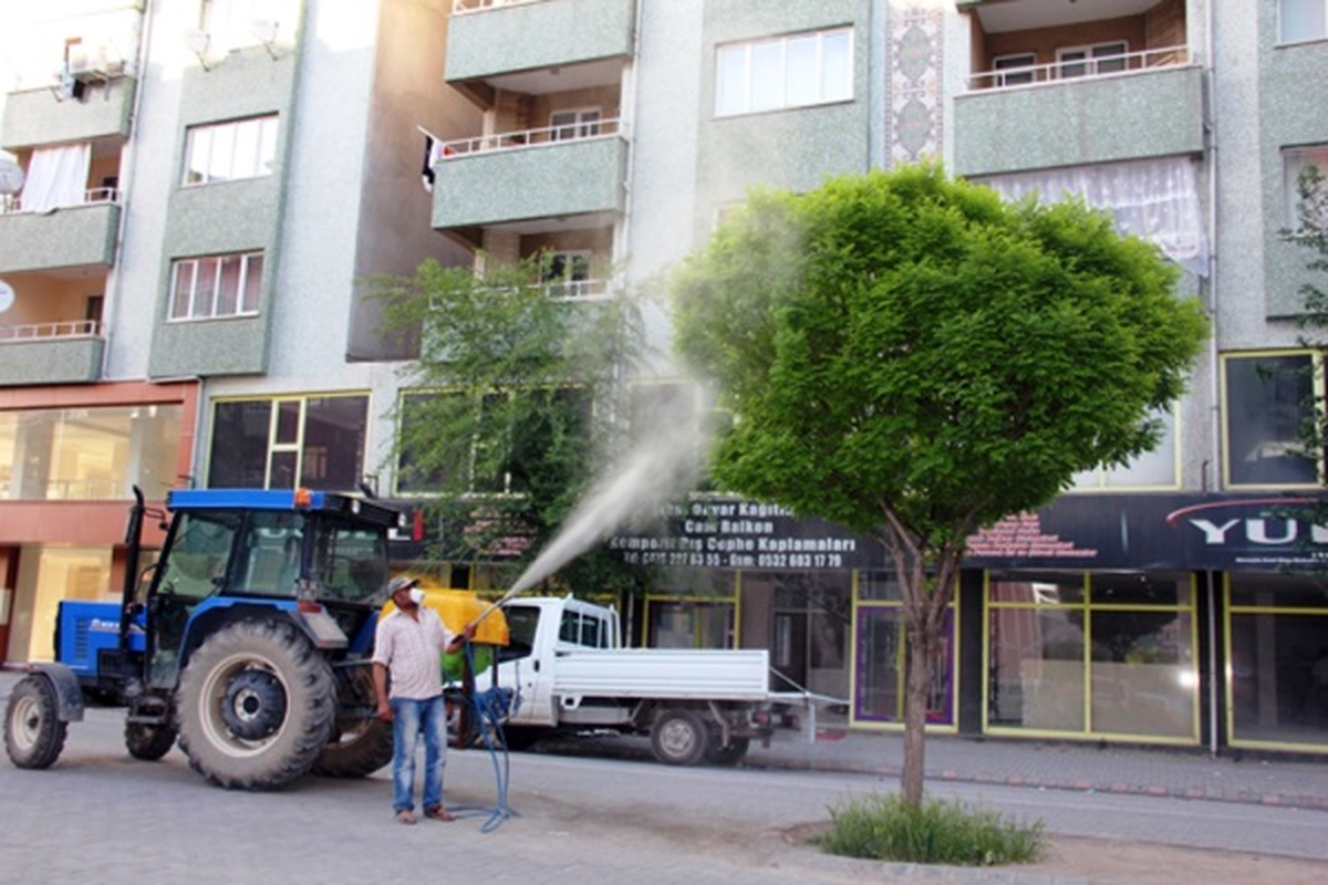 Iğdır\'da Ağaçlar İlaçlandı