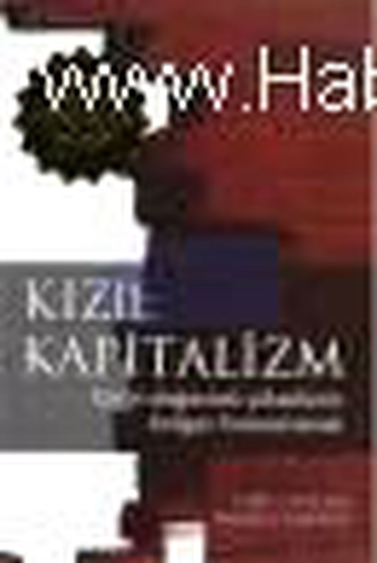 Kızıl Kapitalizm Kitabı