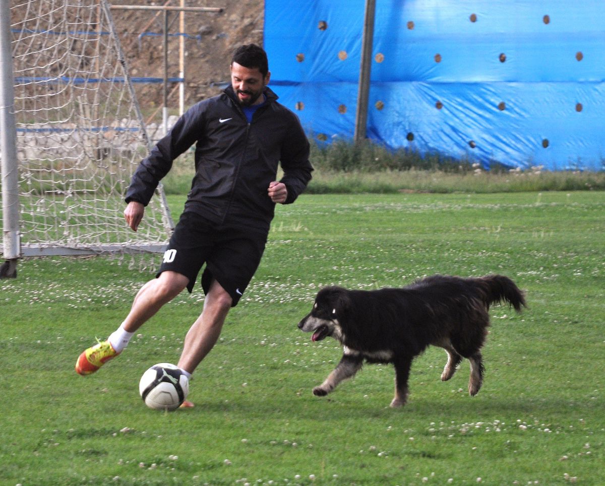 Erol Bulut Sahada Sokak Köpekği İle Top Oynadı