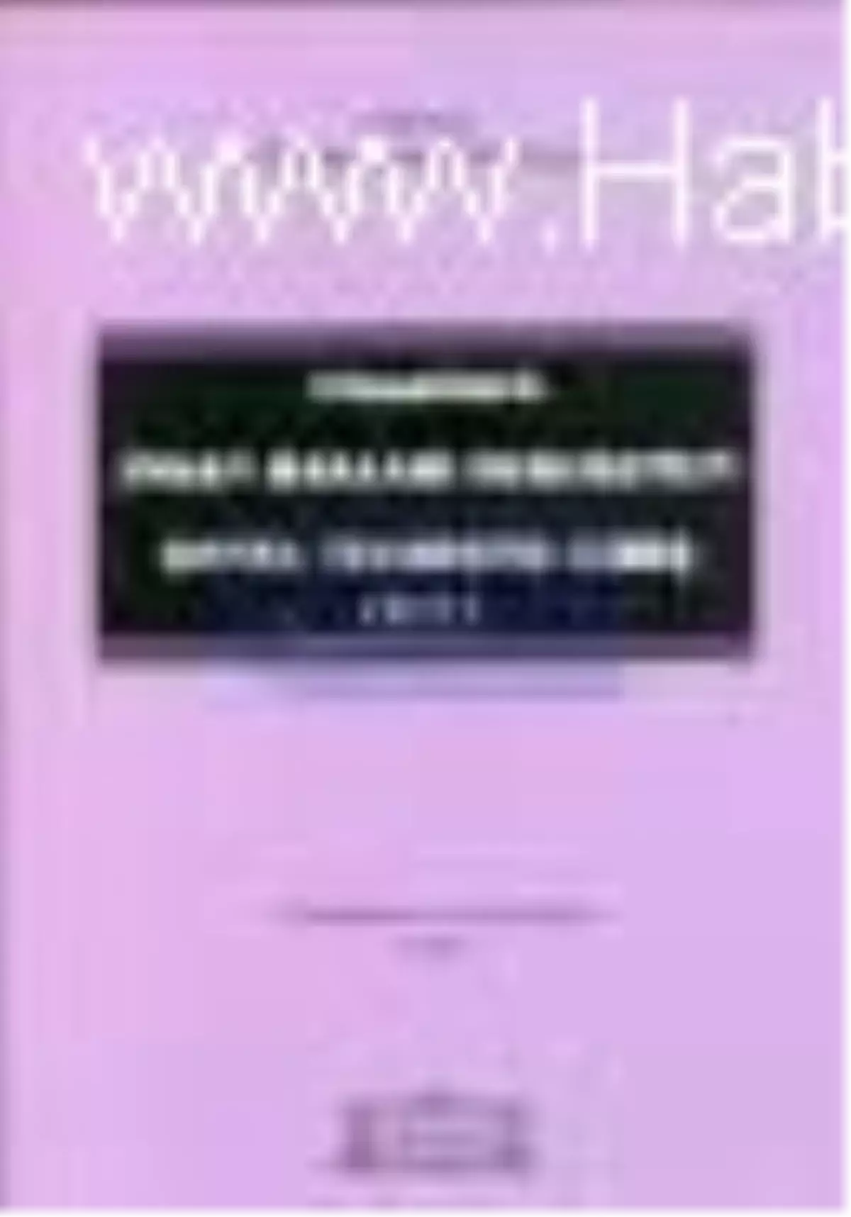 Ulusalüstü İnsan Hakları Hukukunun Genel Teorisine Giriş Cilt: 2 Kitabı