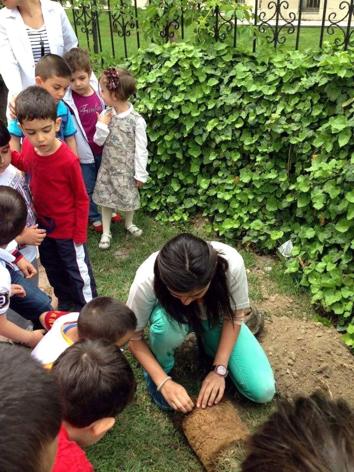 Kayseri Tema Yeşil Bilgi Eğitimleri, Sürüyor