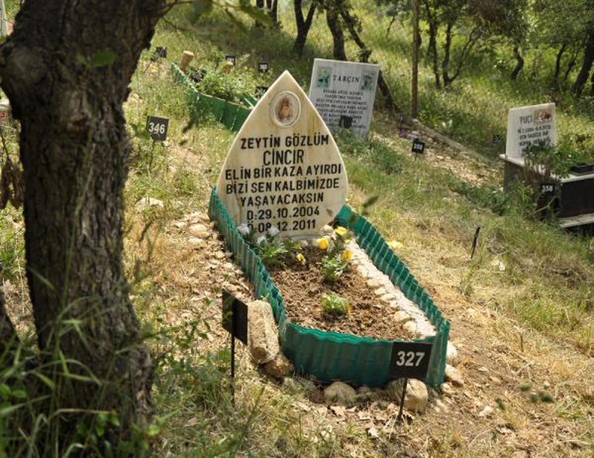 Mezar Taşlarına Yansıyan Hayvan Sevgisi