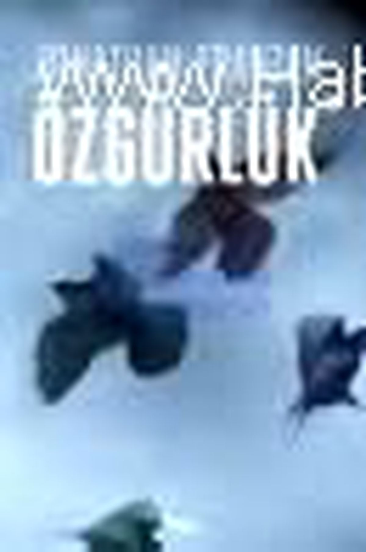 Özgürlük Kitabı