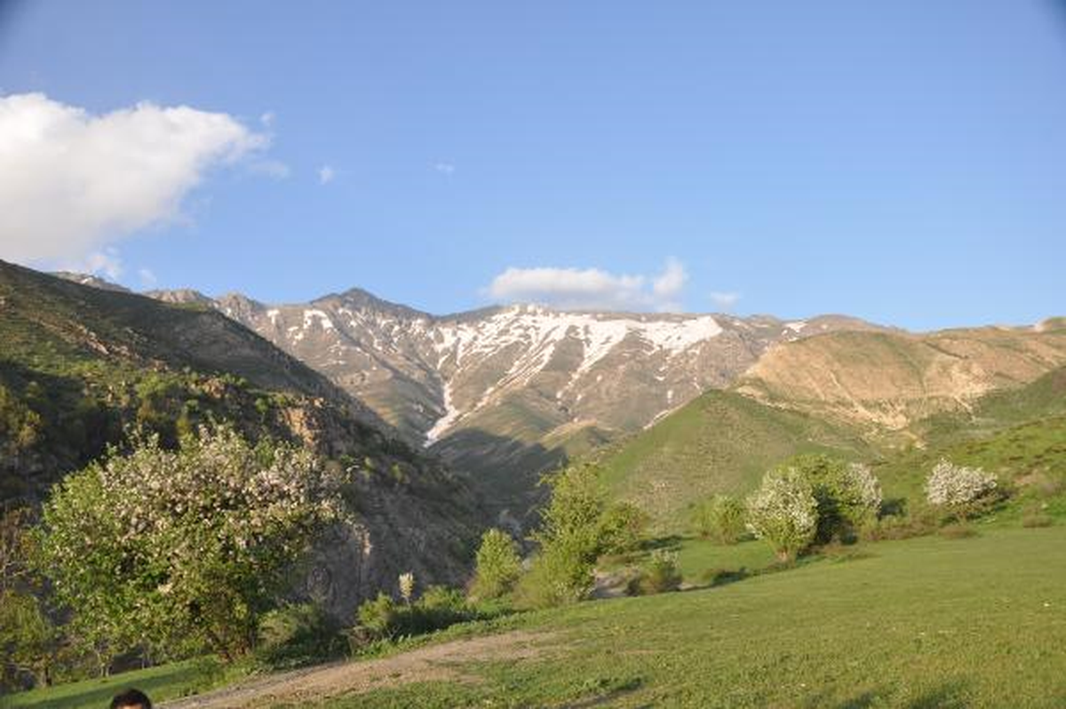 Gare Bölgesinde Çekilme Hareketliliği