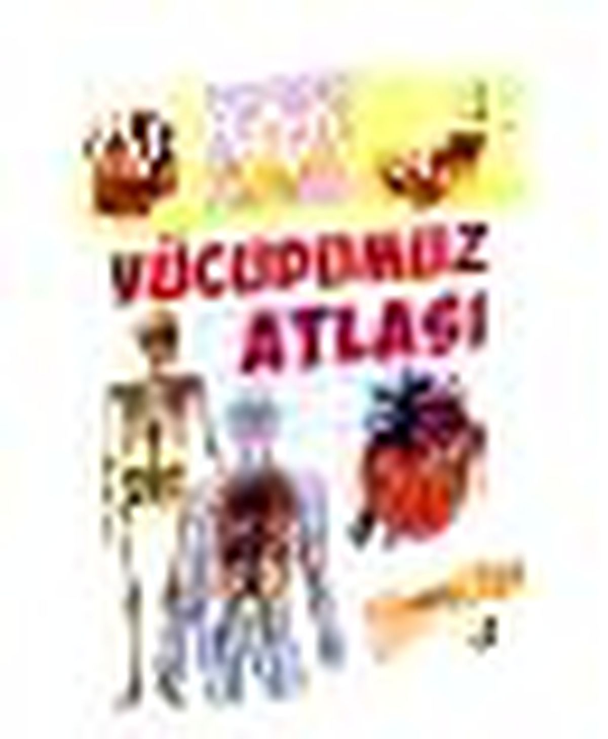 Vücudumuz Atlası Kitabı