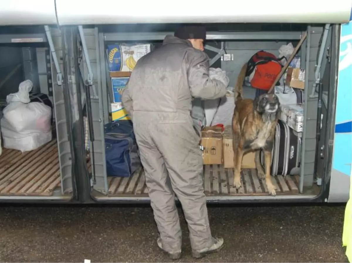 Yolcu Otobüsüyle Esrar Sevkiyatı \'Tora\'ya Takıldı