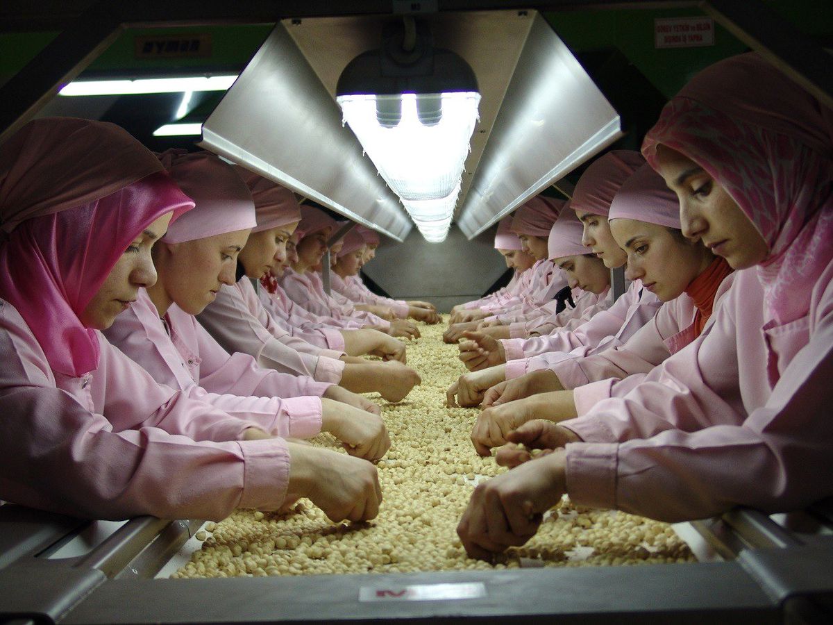 8 Ayda 234 Bin Ton İç Fındık İhraç Edildi