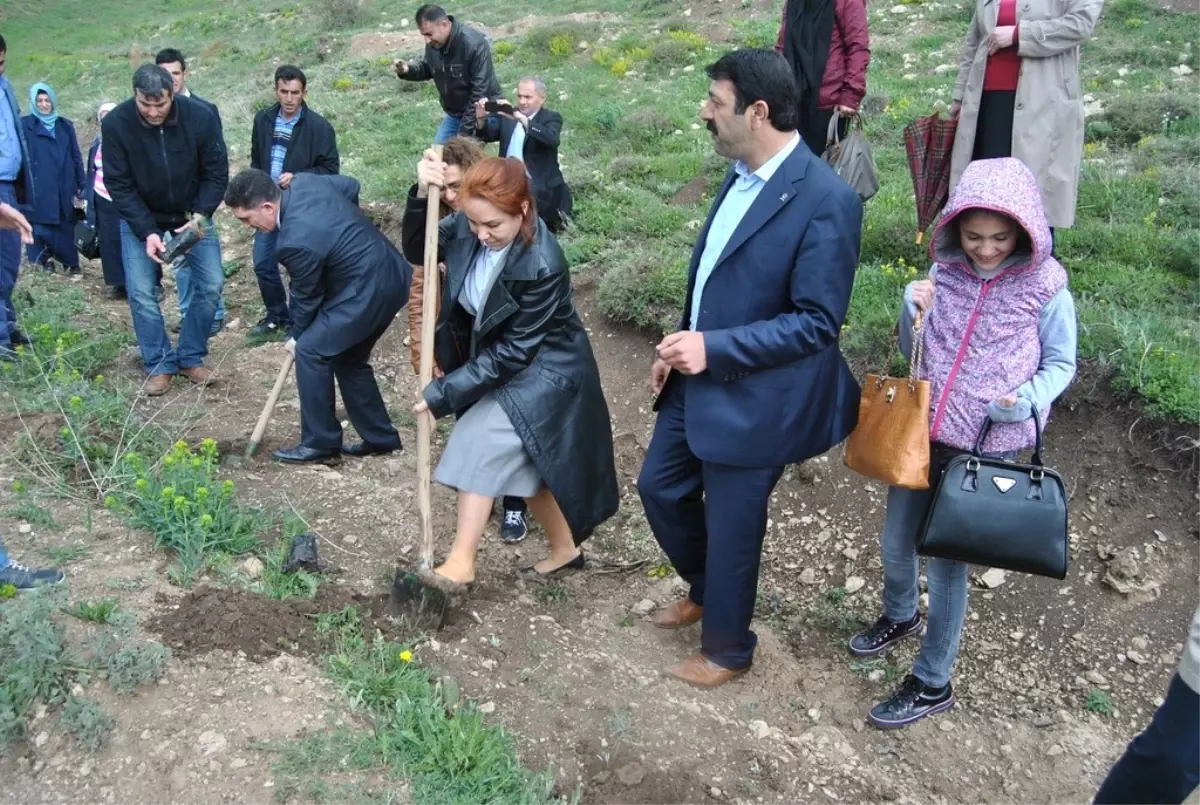 Ağrı'da 'Ak Kadınlar Ormanı' Oluşturuldu
