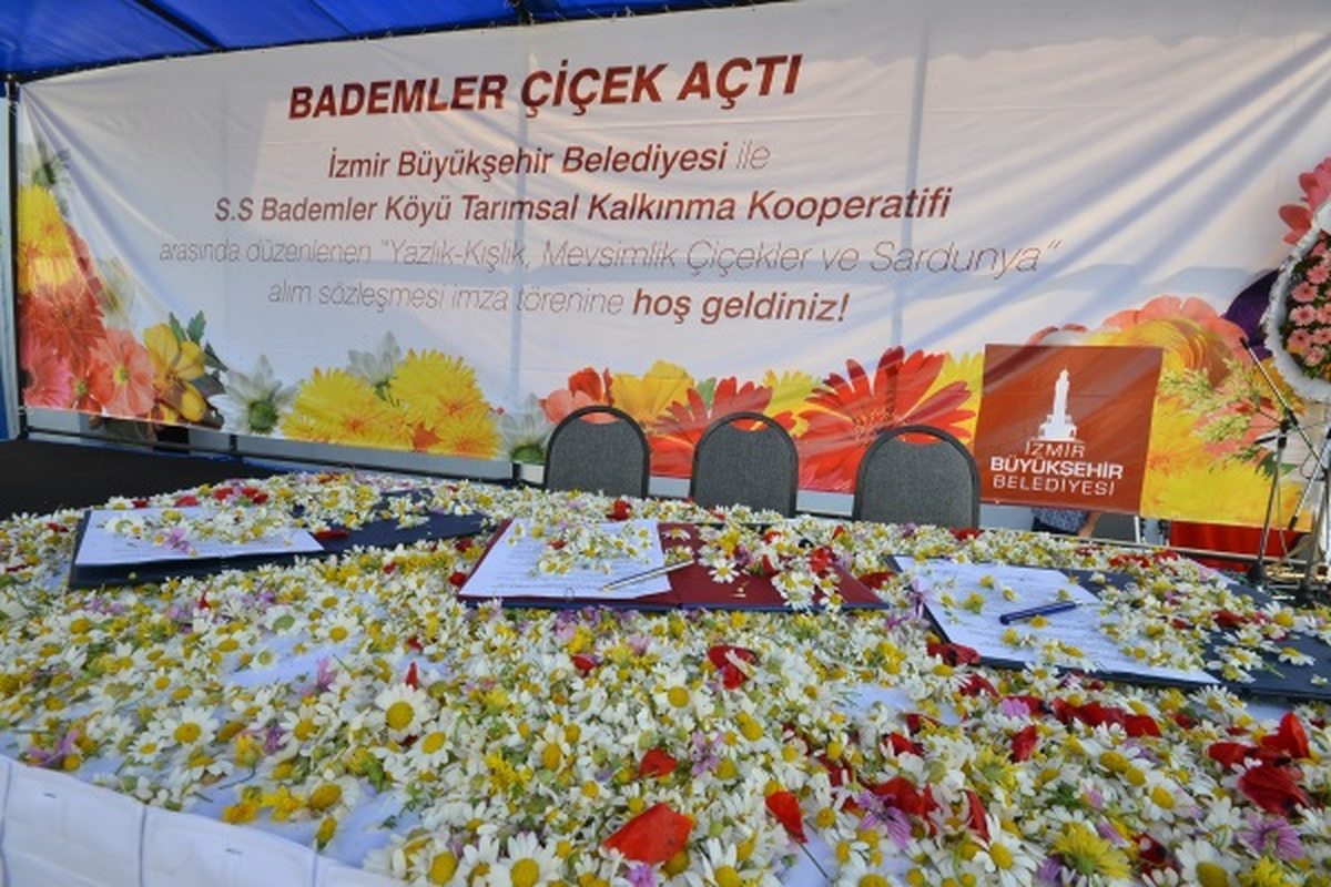 Bademler Çiçek Açtı