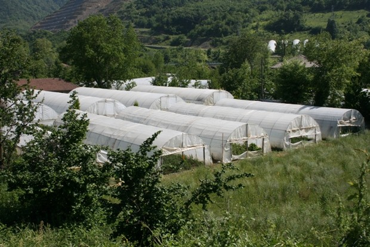 Bartın\'da Örtüaltı Entegre Projesine Start Verildi