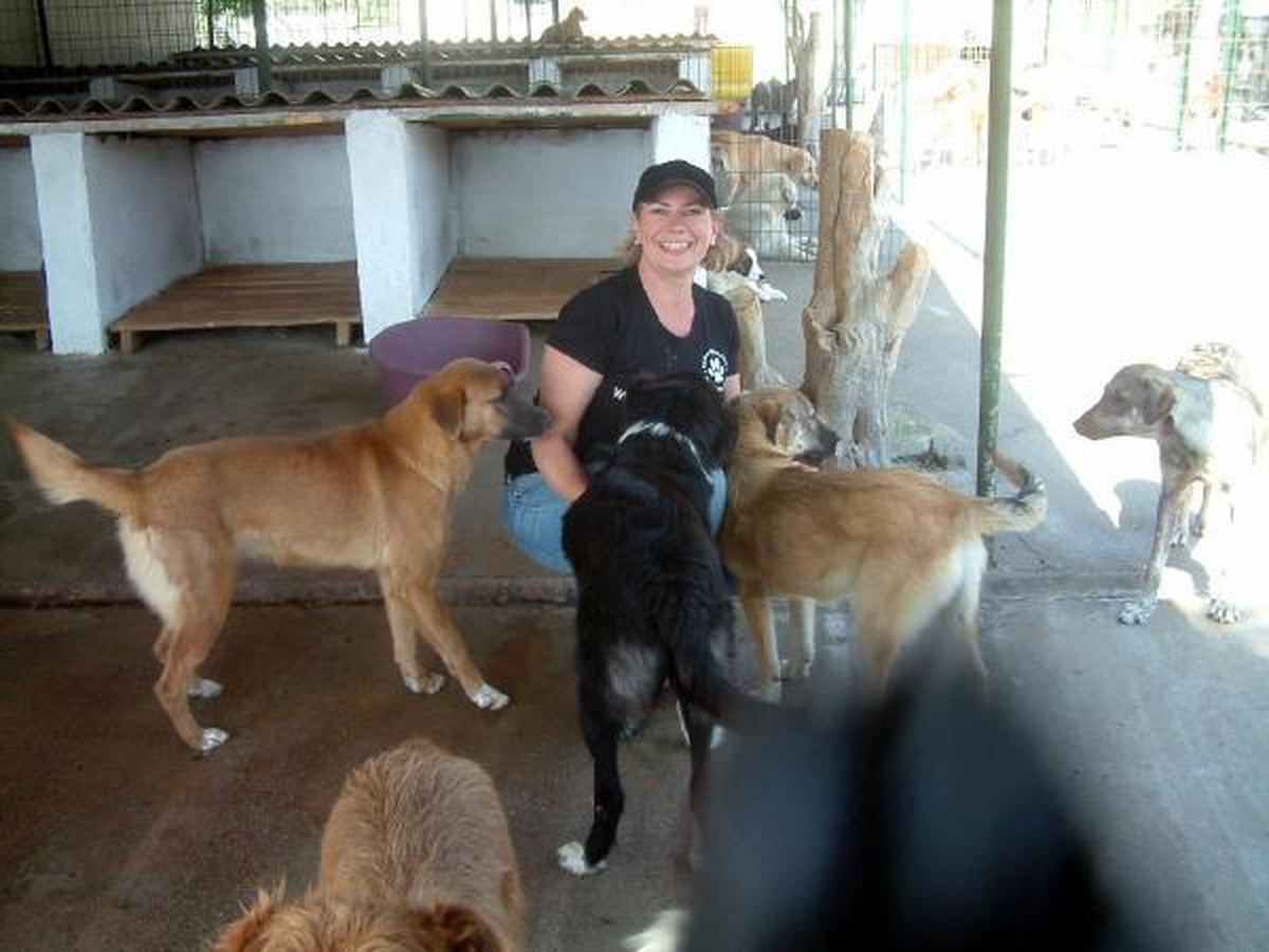 Burhaniye Belediyesi\'nin Köpek Barınağına Almanya\'dan Testek