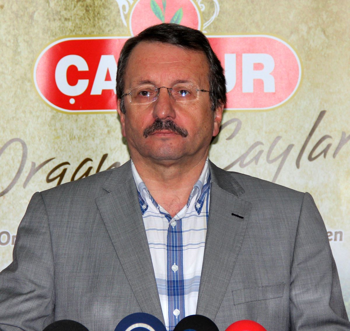 Çaykur 44 Bin 500 Ton Yaş Çay Aldı