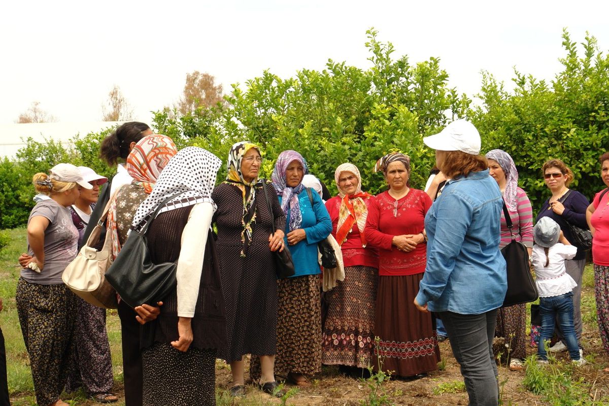 Çiftçi Eğitim Çalışmalarına Devam Ediliyor