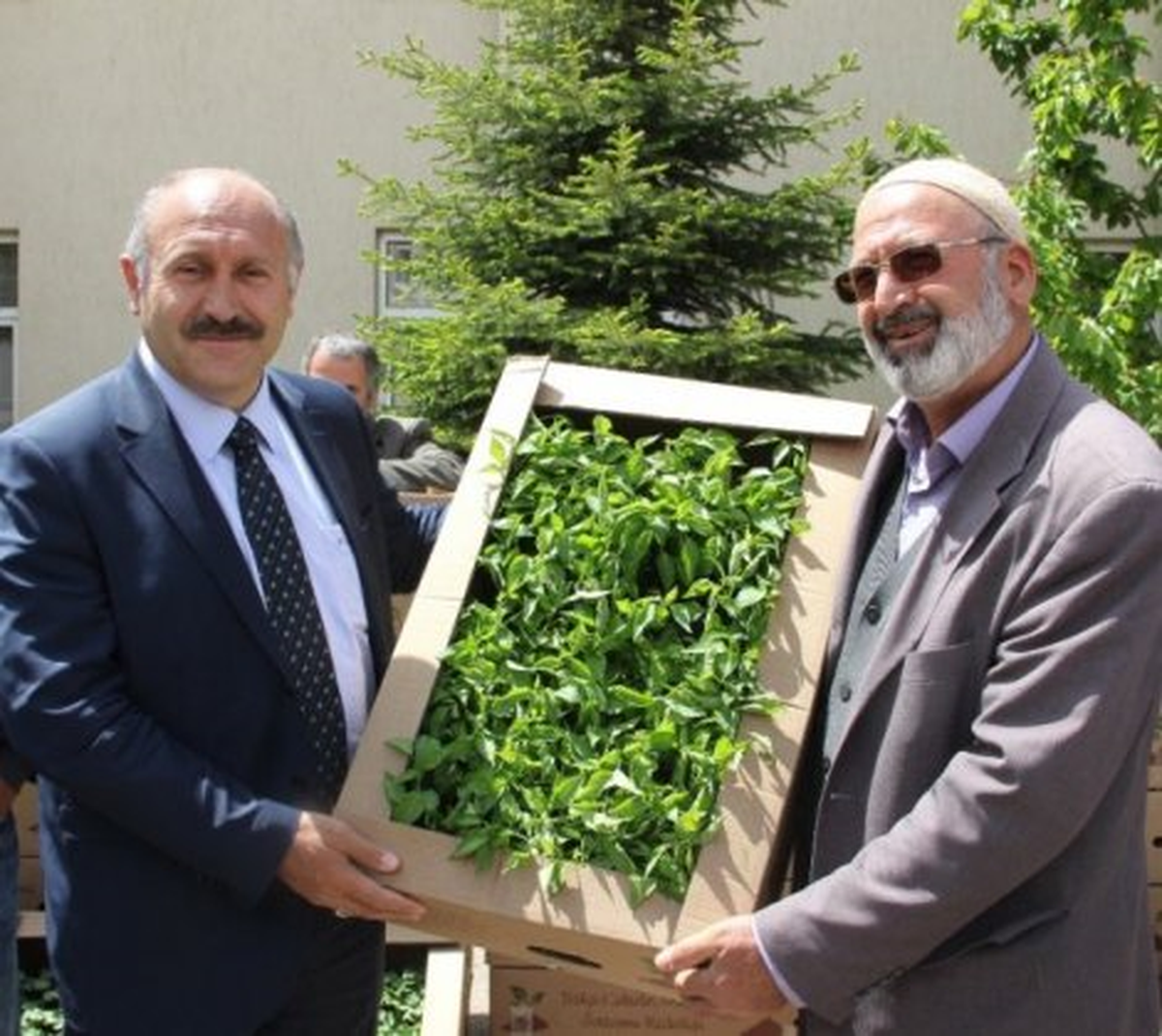 Çiftçilere Fide Dağıtımı