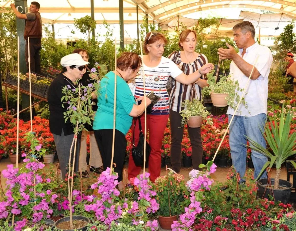 Karşıyaka 12. Kez Çiçek Açacak