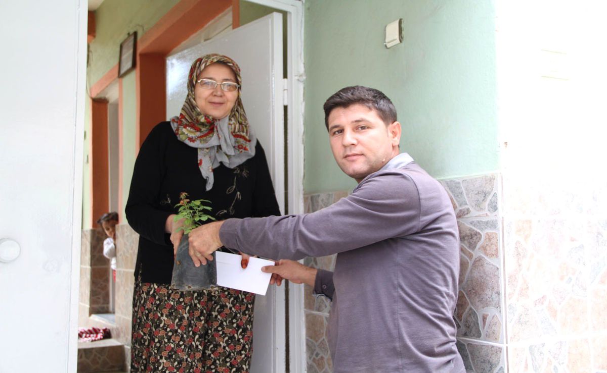 Kula Belediyesi 9 Bin Gül Fidanı Dağıttı