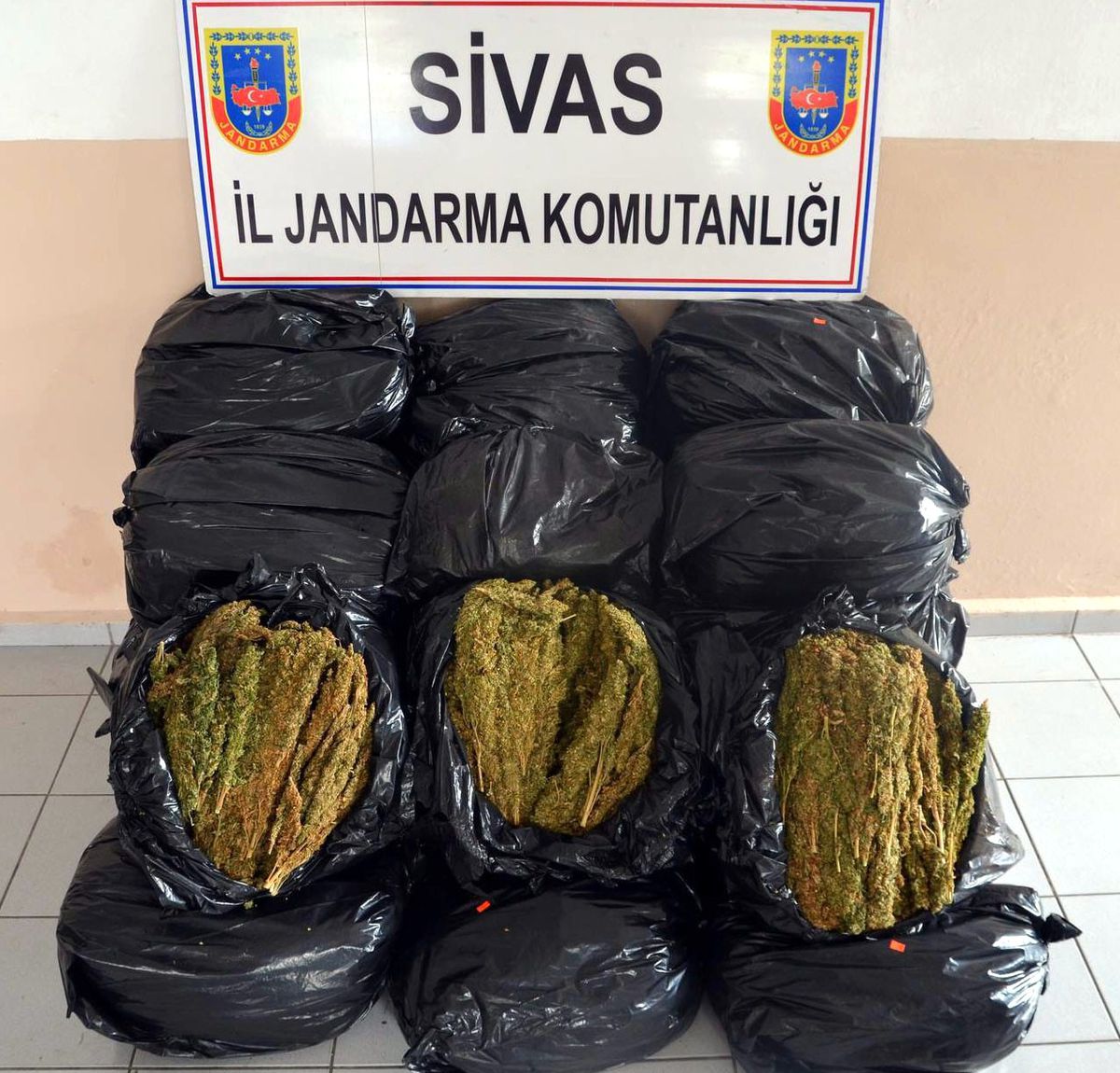 Sivas\'ta 153 Kilo Esrar Ele Geçirildi