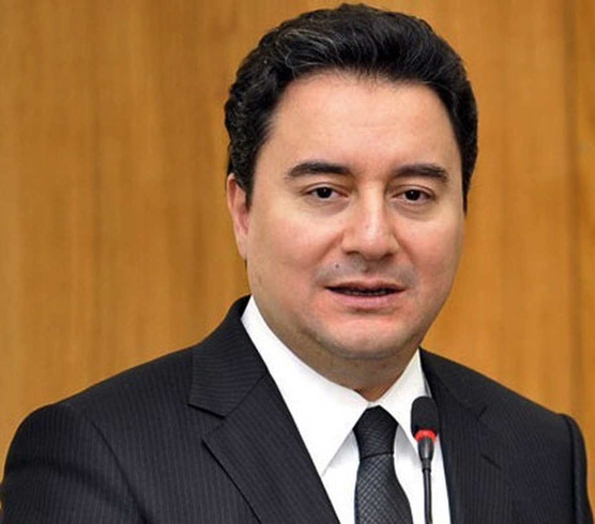 Başbakan Yardımcısı Ali Babacan, 'Ülkemiz IMF'ye Kredi Sağlayan Ülkeler Grubuna Girdi.'