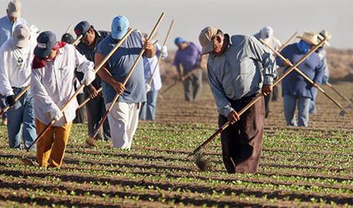 Dünya Çiftçiler Günü Karaman\'da Kutlandı
