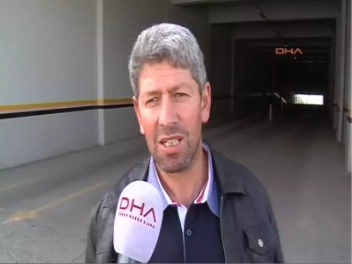 Erzurum\'da Ayının Saldırısı: 1 Kişi Yaralandı